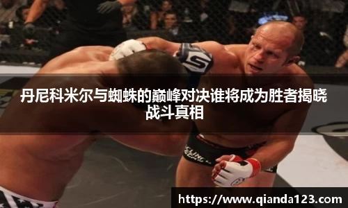 丹尼科米尔与蜘蛛的巅峰对决谁将成为胜者揭晓战斗真相